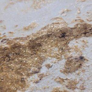 Próbka Kamień Elastyczny Golden Nacre 10x15 - obrazek 14